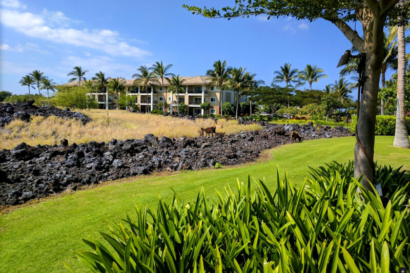 Hilton Grand Vacations Club Kohala Suites Waikoloa