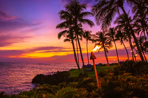 ocean tower by hilton grand vacations exotic escape sunset
