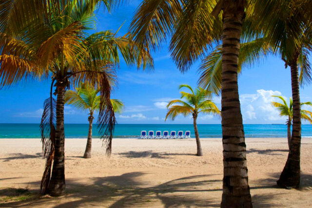 courtyard isla verde beach resort puerto rico beachfront getaway