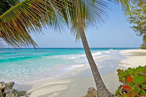 turtle beach barbados family beach getaway