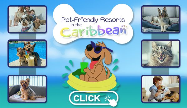 caribbean pet-friendly resorts travel tips