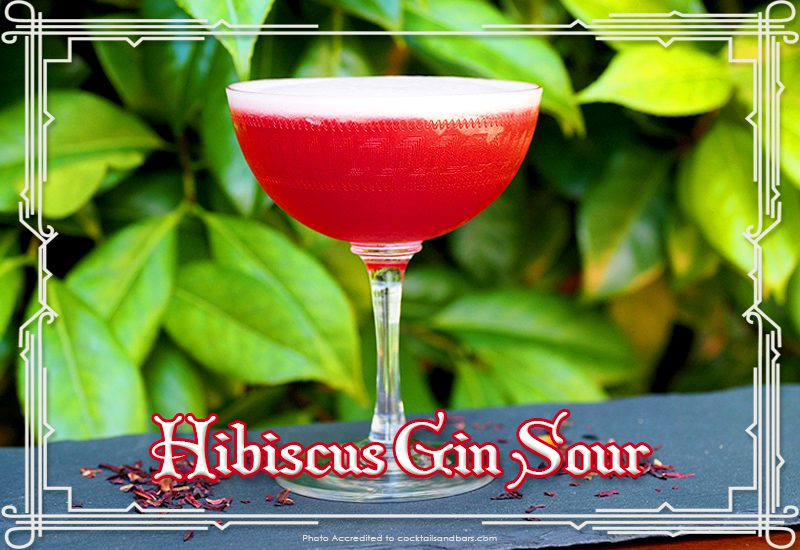 top-rated beach drinks hibiscus gin sour what alcohol to sip