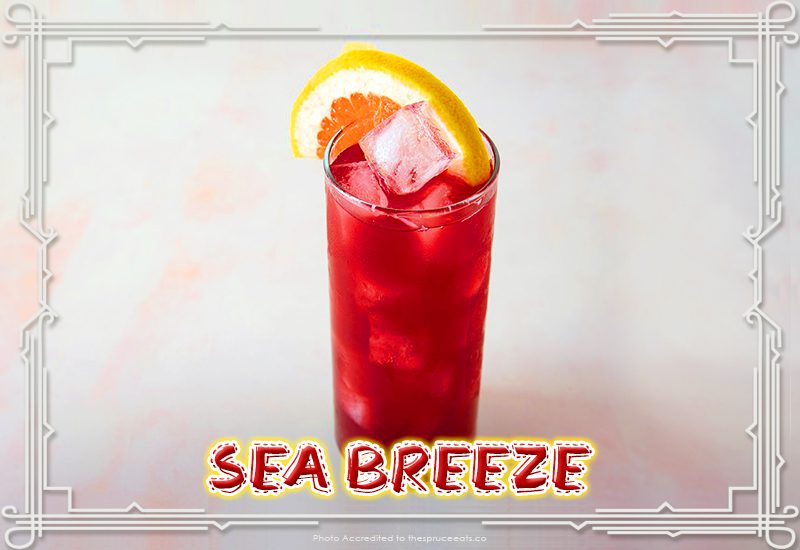 nicest beach drinks sea breeze classic cocktail ideas