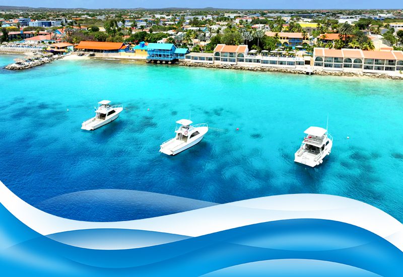 best hurricane-free resorts in the caribbean divi flamingo beach resort & casino