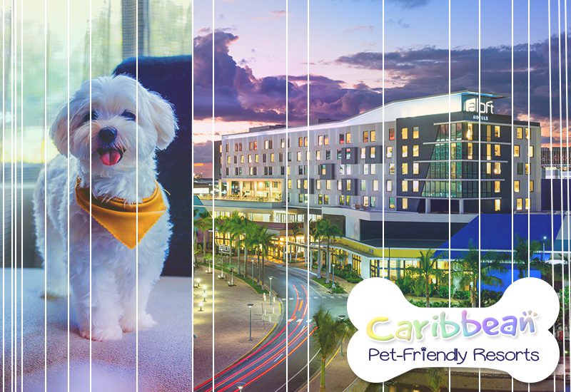 aloft san juan puerto rico