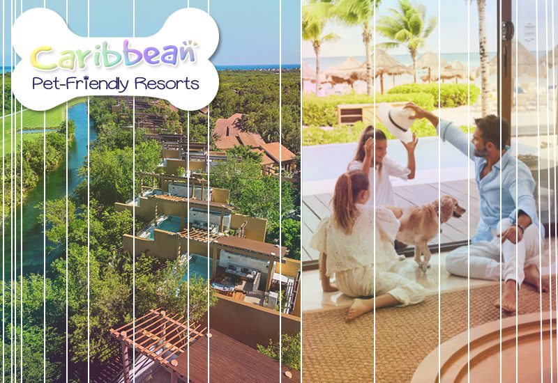 nicest caribbean pet-friendly resorts banyan tree mayakoba mexico