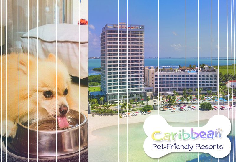 breathless cancun soul resort and spa mexico