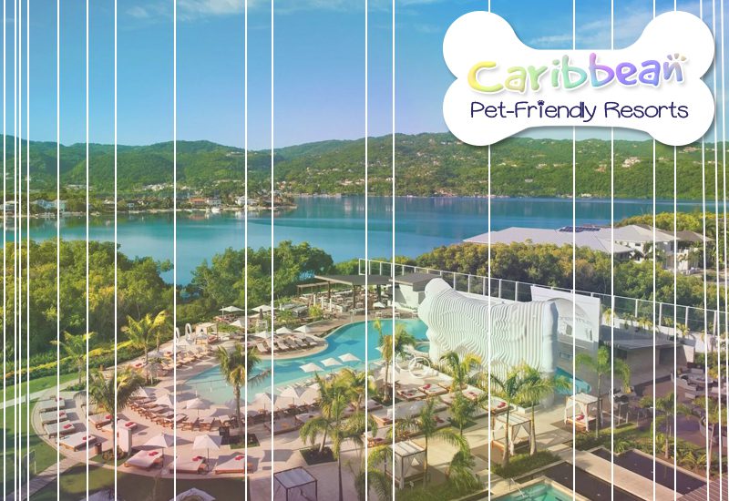 breathless montego bay resort and spa jamaica