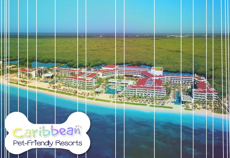 nicest caribbean pet-friendly resorts breathless secrets riviera cancun mexico