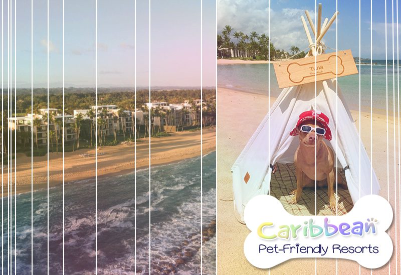 dorado beach a ritz-carlton reserve puerto rico