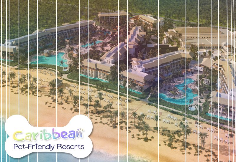 top-notch caribbean pet-friendly resorts dreams playa esmeralda secrets playa esmeralda dominican republic