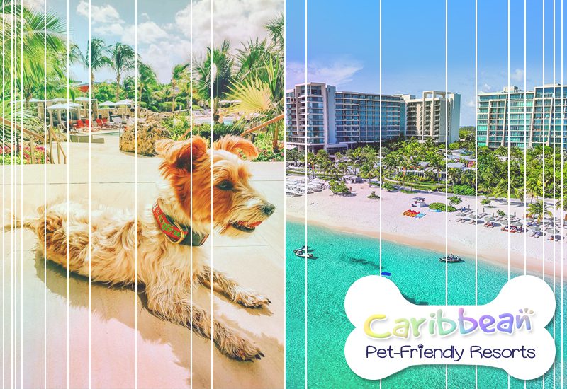 grandest caribbean kimpton seafire resort + spa grand cayman