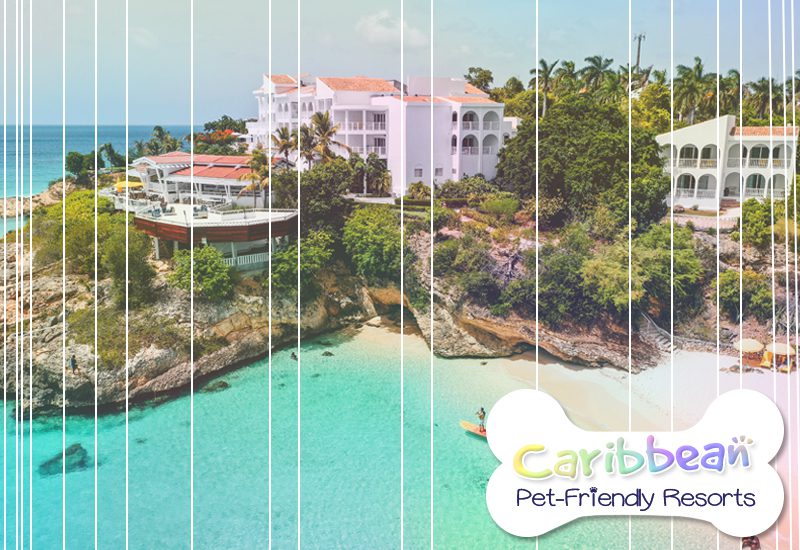 top caribbean pet-friendly resorts malliouhana resort an slh hotel anguilla