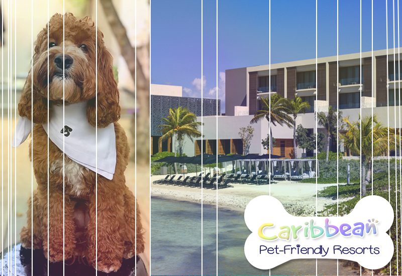 nizuc resort and spa mexico