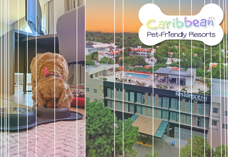 residence inn playa del carmen mexico