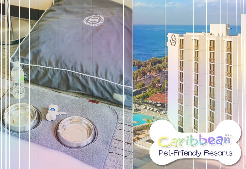 sheraton santo domingo hotel dominican republic