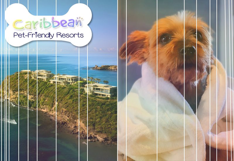 six senses la sagesse grenada