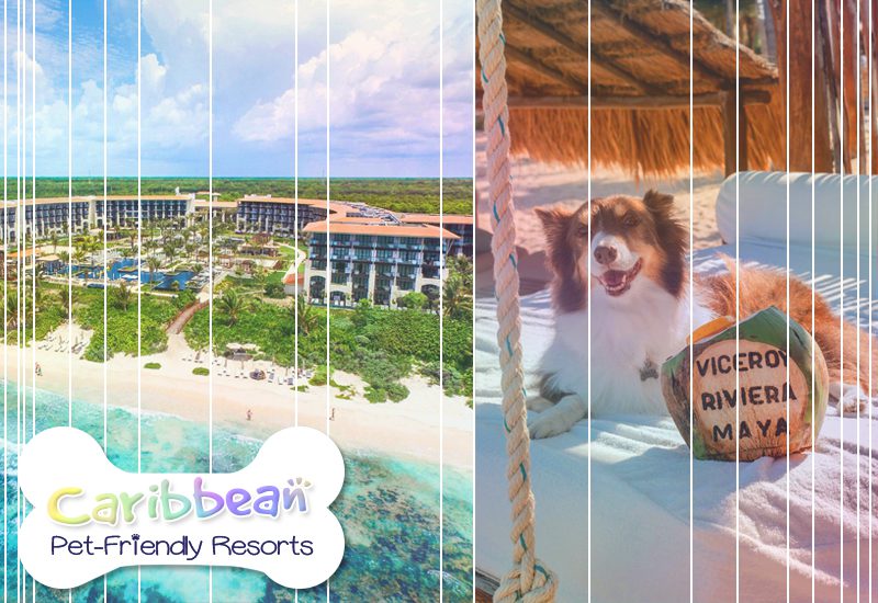 viceroy riviera maya a luxury villa resort mexico