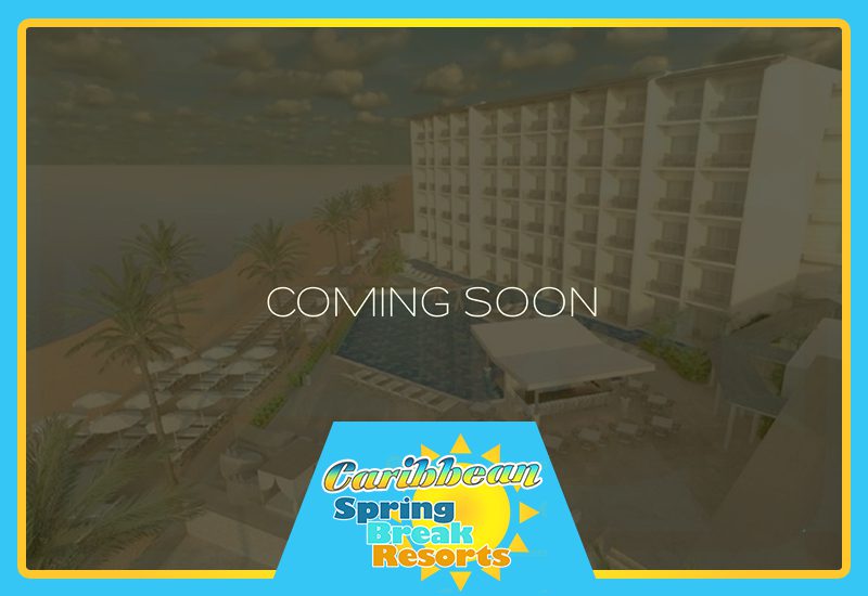 top caribbean spring break resorts royalton chic jamaica paradise cove party exclusive spot