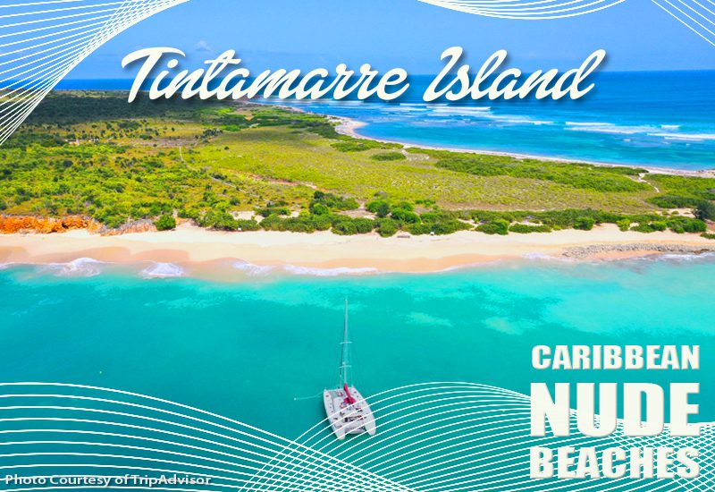 tintamarre island st martin exotic escape ideas