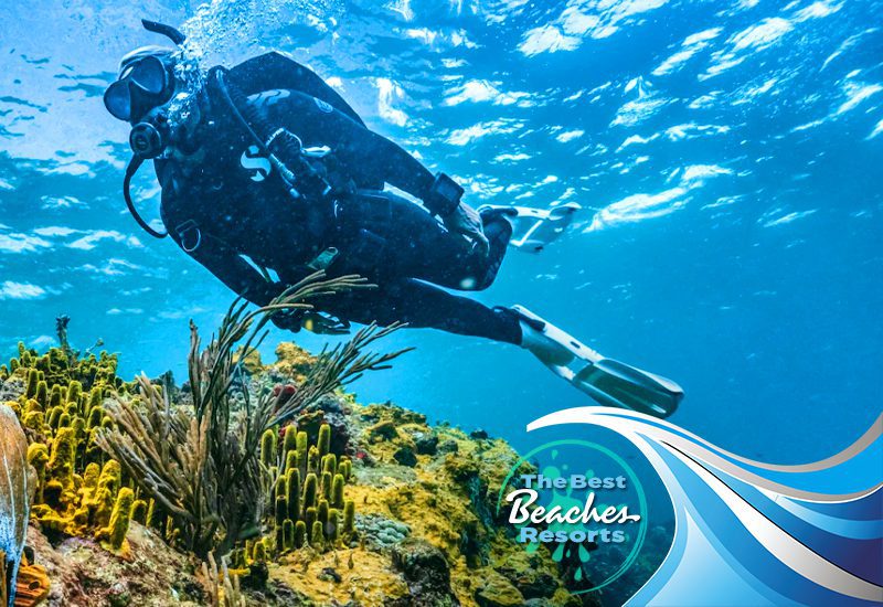 what are the scuba diving opportunities