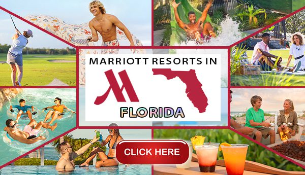 marriott resorts in florida sunshine state tropical travel tips