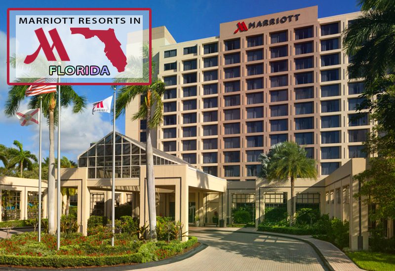 top-notch marriott resorts in florida boca raton marriott at boca center