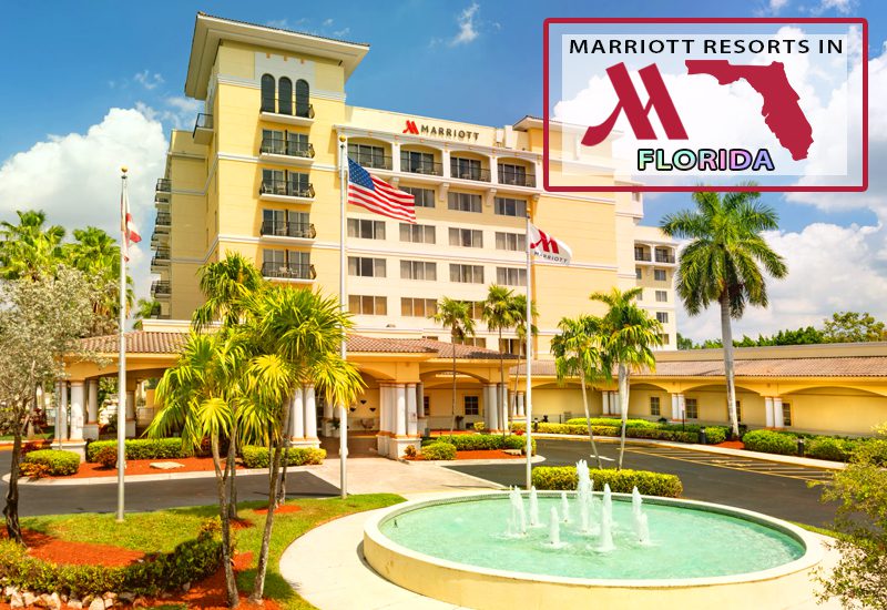 top-notch marriott resorts in florida fort lauderdale marriott coral springs hotel and convention center