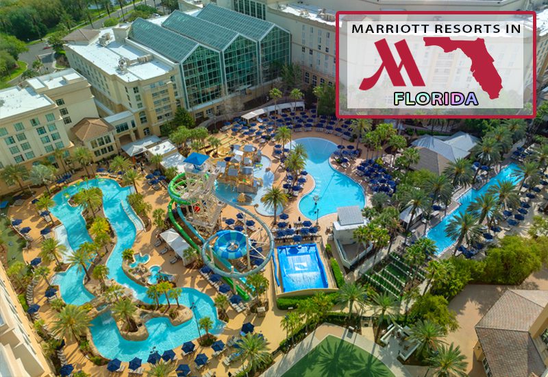 gaylord palms resort and convention center
