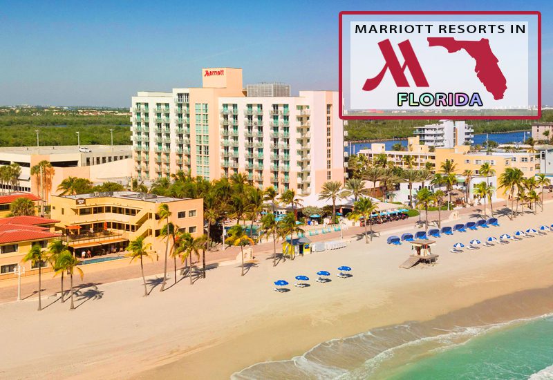 loveliest marriott resorts in florida hollywood beach marriott beach retreat tips