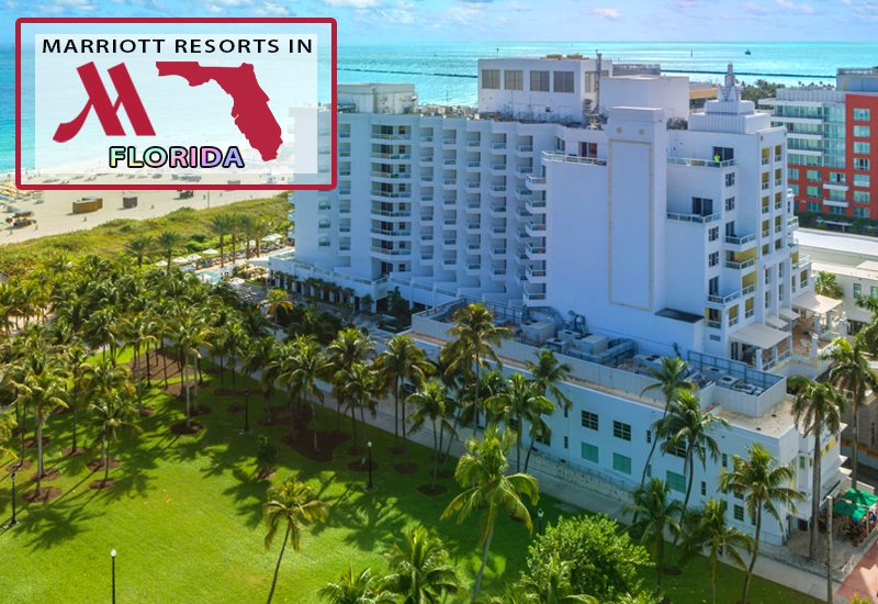 nicest marriott resorts in florida marriott stanton south beach luxury hotel ideas