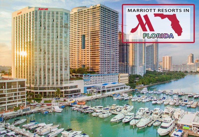 loveliest marriott resorts in florida miami marriott biscayne bay