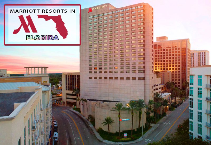 miami marriott dadeland luxury getaway tips
