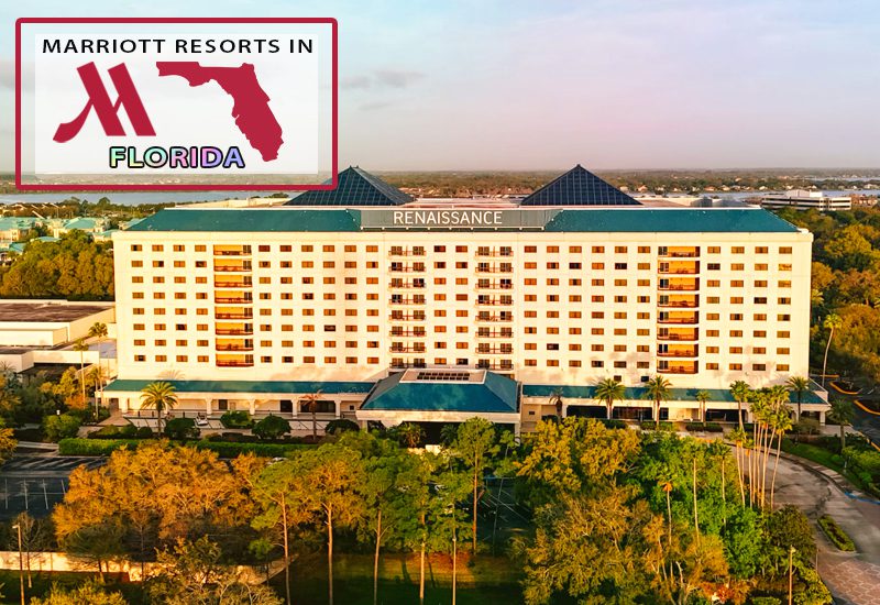 renaissance orlando at seaworld family-friendly retreat suggestions