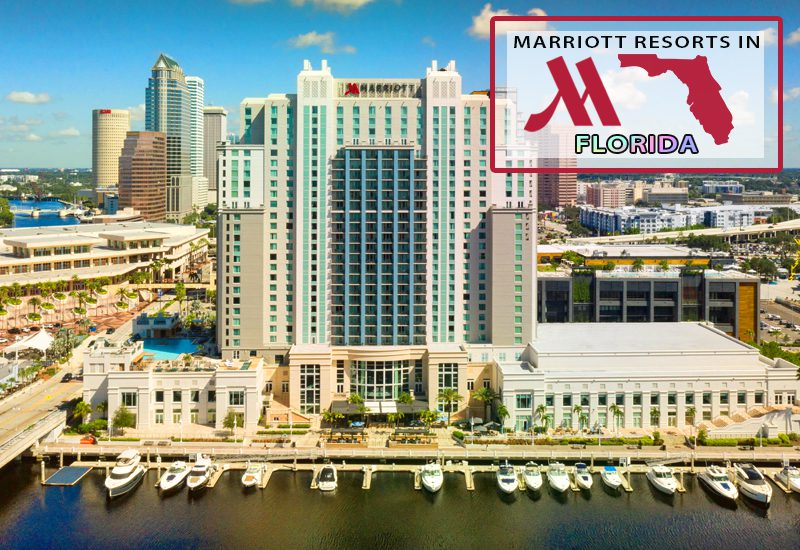 greatest marriott resorts in florida tampa marriott water street