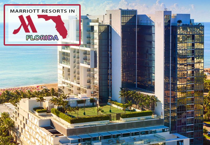 w south beach luxury hotel ideas