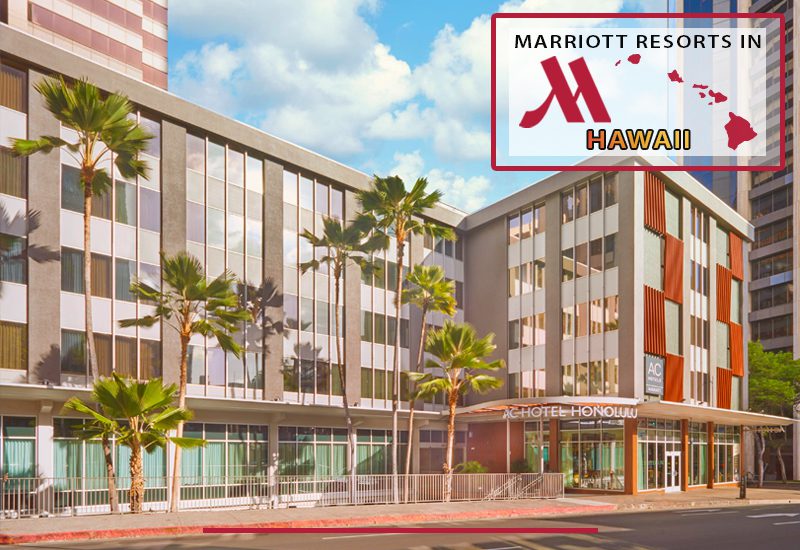 top-notch marriott resorts in hawaii ac hotel honolulu luxury hotel suggestions