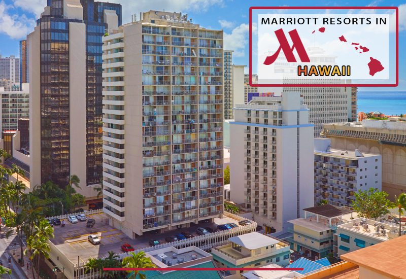 courtyard waikiki beach tropical travel tips