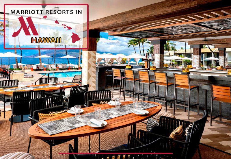do all of these marriott's have restaurants and bars