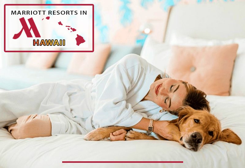 greatest marriott resorts in hawaii do these marriott's allow pets