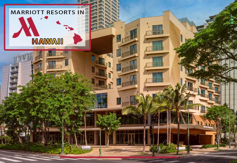 top marriott resorts in hawaii marriott vacation club waikiki luxury stay recommendations