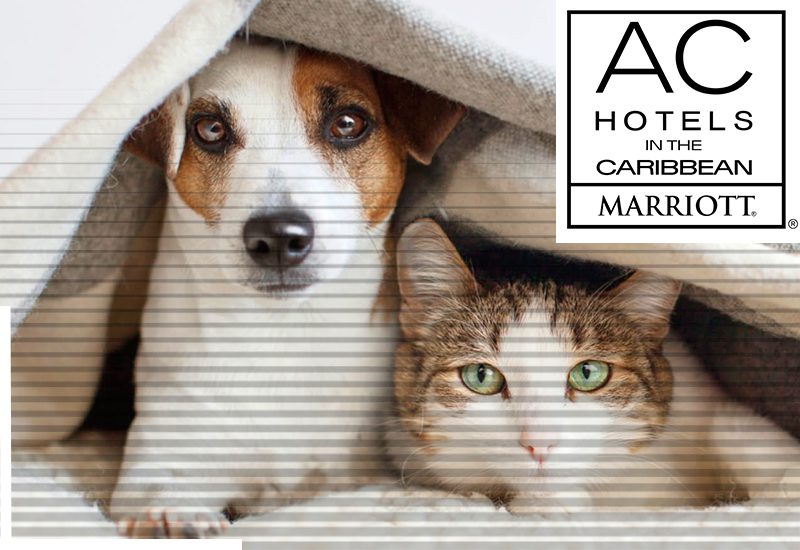 finest ac hotels in the caribbean does ac permit pets
