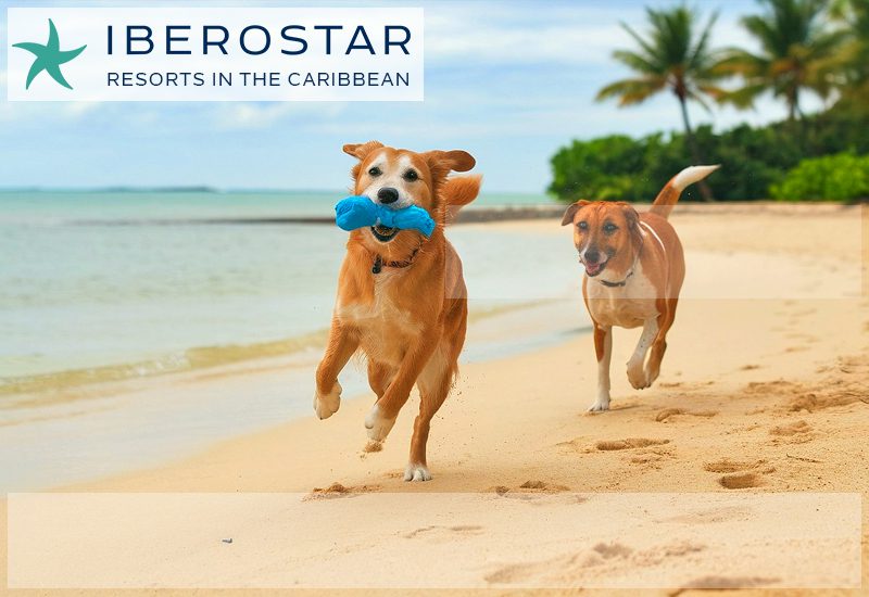 do any of these resorts allow pets