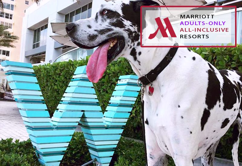 nicest marriott adults-only all-inclusive resorts are any of these holiday spots pet-friendly